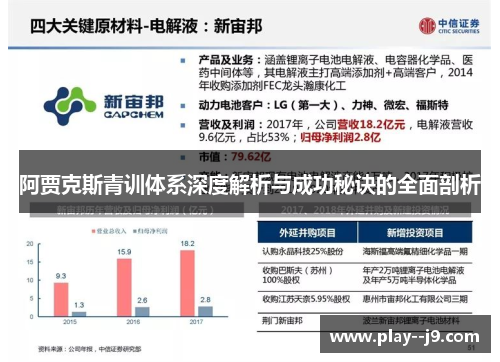 阿贾克斯青训体系深度解析与成功秘诀的全面剖析