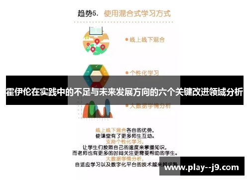 霍伊伦在实践中的不足与未来发展方向的六个关键改进领域分析