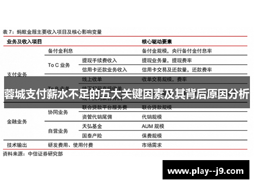 蓉城支付薪水不足的五大关键因素及其背后原因分析