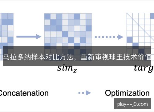 马拉多纳样本对比方法，重新审视球王技术价值